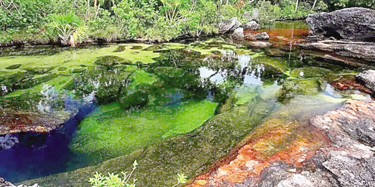 The river in Colombia that changes colors every year.