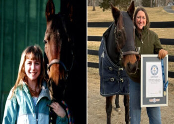 World’s oldest horse holds Guinness World Record.
