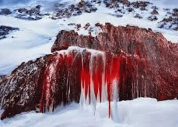 Blood-colored waterfall in Antarctica, scientists explain the reason.