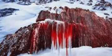 Blood-colored waterfall in Antarctica, scientists explain the reason.