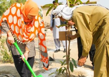 SABS UNIVERSITY JAMSHORO LAUNCHES FRUIT PLANTATION DRIVE TO PROMOTE GREEN CAMPUS