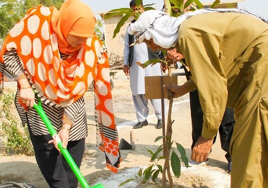 SABS UNIVERSITY JAMSHORO LAUNCHES FRUIT PLANTATION DRIVE TO PROMOTE GREEN CAMPUS