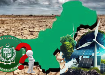 Pakistan’s Future in the Context of Climate Inaction