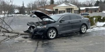 DHS Law Enforcement Experienced More Than 180 Vehicle Attacks Since President Trump Took Office