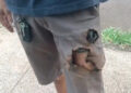 Mobile phone saves citizen from dog attack