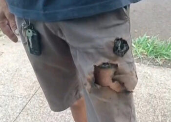 Mobile phone saves citizen from dog attack