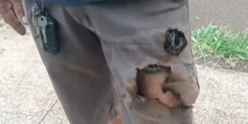 Mobile phone saves citizen from dog attack