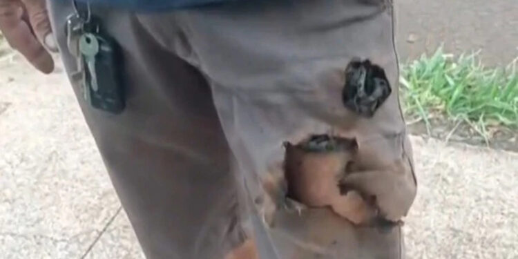 Mobile phone saves citizen from dog attack