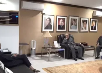 President Zardari stresses ‘unity, political harmony’ in Karachi meeting with Naqvi, MQM-P’s Khalid Maqbool