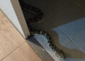 A large snake entered the bathroom of the house, a midnight viper was called to catch it.