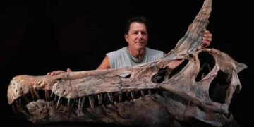 Scientists discover fossil of giant bird-like dinosaur