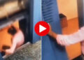 Young man miraculously survives falling in elevator, video goes viral.