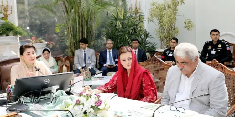 Punjab set to unveil Rs10b katcha package to consolidate gains achieved through operation: CM