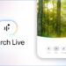 Google Search Live Expands Globally