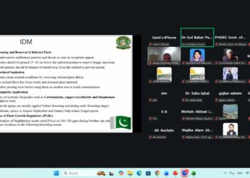 Mango Malformation in Sindh: Crop Management Strategies Under Climate Change