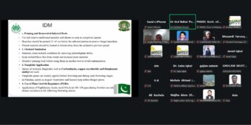 Mango Malformation in Sindh: Crop Management Strategies Under Climate Change