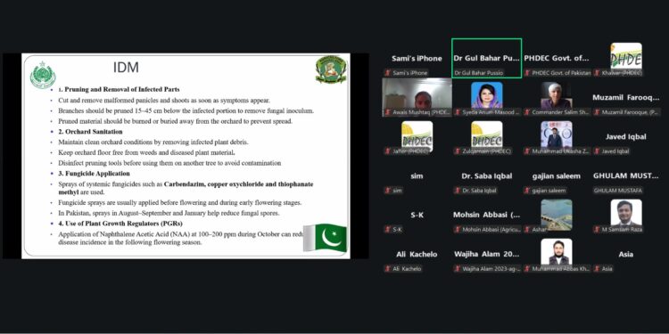 Mango Malformation in Sindh: Crop Management Strategies Under Climate Change