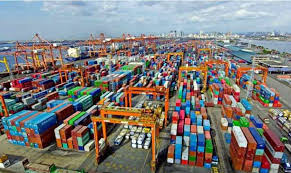 Exporters Urge Government Action as Air Cargo Disruptions Stall Shipments