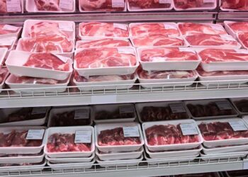 Ministry of Commerce Seeks Action Over Additional Cargo Charges on Meat Exports