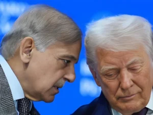 shehba-trump-reuters1774376463-0-640x480