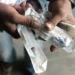 Pakistan Moves to Curb HIV Surge as Global Fund Visit Expected Amid Concerns Over Reused Syringes