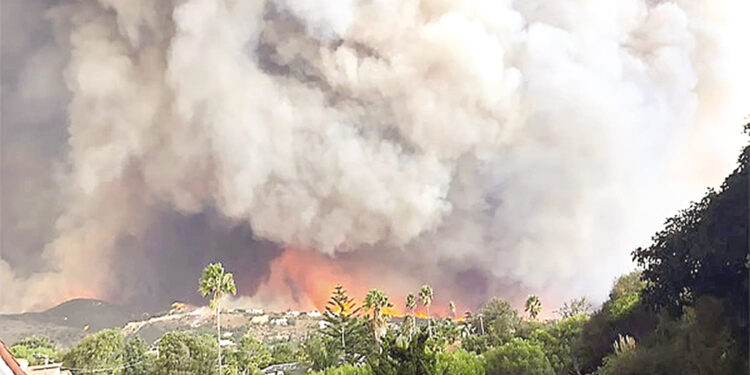 Forest fire smoke increases cancer risk.