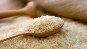 1272610_2436731_Rice_akhbar