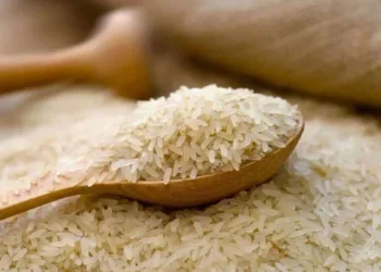 REAP Delegation Lands in Muscat to Boost Rice Exports Under TDAP Initiative