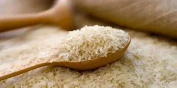 REAP Delegation Lands in Muscat to Boost Rice Exports Under TDAP Initiative