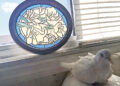 Oldest pigeon, American pet bird record set.