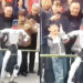 Robot slaps child during performance.