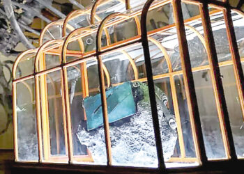 Handbag made from dinosaur material surprises the world.