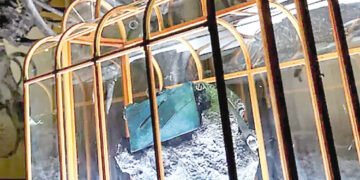 Handbag made from dinosaur material surprises the world.