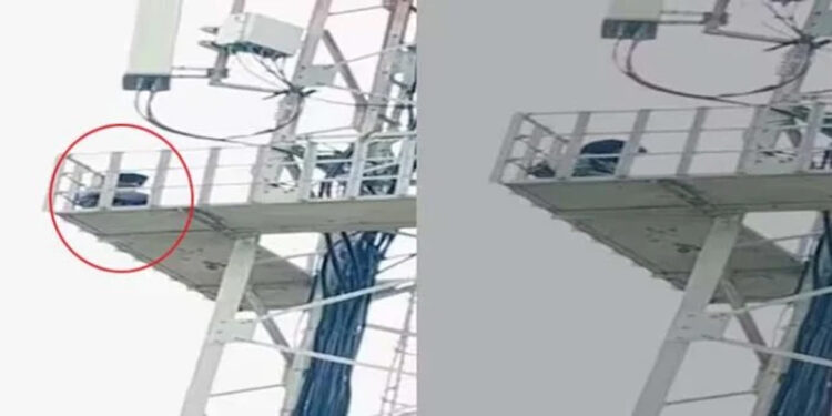 Boy climbs mobile tower after being refused marriage.