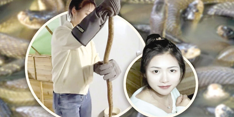 Woman earns Rs 40 million annually by raising 60,000 snakes.