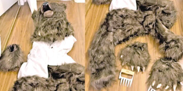 3 people sentenced for posing as bears for insurance.