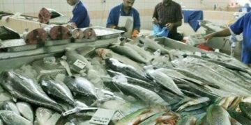 Pakistan Secures Major Breakthrough as 16 Fisheries Exporters Registered in Russian Federation