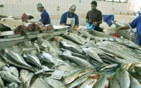 Pakistan Secures Major Breakthrough as 16 Fisheries Exporters Registered in Russian Federation
