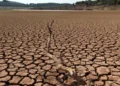 Ahsan Iqbal Unveils National Strategy for Water Security, Warns Pakistan Faces “Mismanagement Crisis” Alongside Scarcity