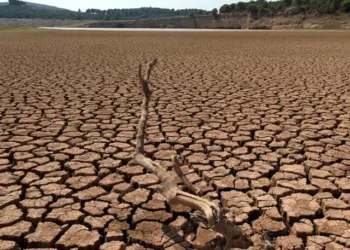 Ahsan Iqbal Unveils National Strategy for Water Security, Warns Pakistan Faces “Mismanagement Crisis” Alongside Scarcity
