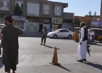 Afghan Political Voices Question Taliban Rule, Calls for System Change Grow