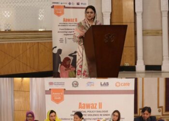 Sindh Seeks Stronger Domestic Violence Response Amid Implementation Gaps