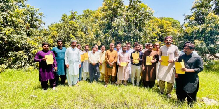 PHDEC Holds Mango Bagging Workshop in Tando Jam to Boost Export Quality