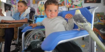 Animal Therapy Brings Fleeting Joy to War-Traumatized Children in Gaza as Risks from Unexploded Ordnance Persist