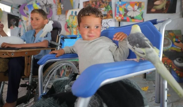 Animal Therapy Brings Fleeting Joy to War-Traumatized Children in Gaza as Risks from Unexploded Ordnance Persist