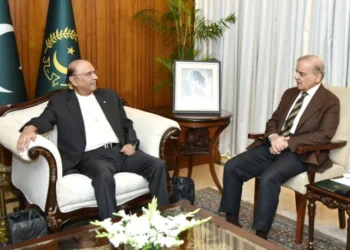 President Zardari Urges Continued Diplomatic Engagement on US–Iran Peace Process