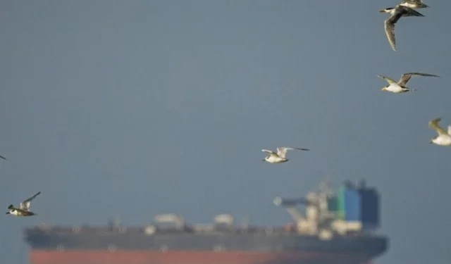US Pushes “Maritime Freedom Construct” as Strait of Hormuz Crisis Deepens Amid Iran Tensions