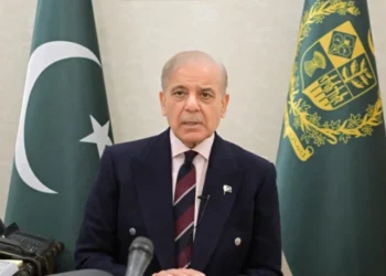 PM Shehbaz Orders Strategy to Stabilise Electricity Tariffs, Boost Energy Reforms