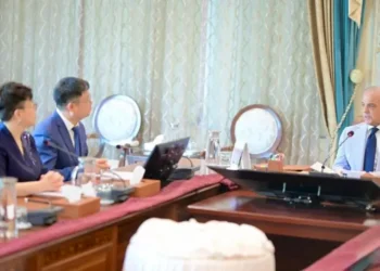 PM Shehbaz Praises Pakistan-China Friendship as Chinese Tech Delegation Eyes Digital Investment