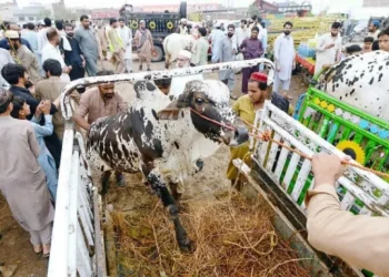 Government Announces Three-Day Eidul Azha Holidays Across Pakistan